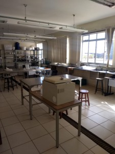 Lab. processamento de produtos de origem vegetal (sala)