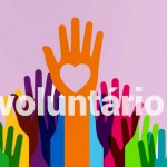 voluntario