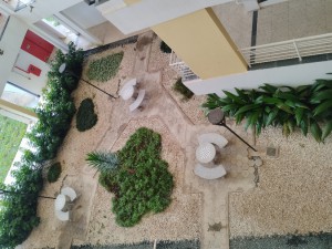 IMG6