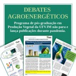 debates agroenergéticos - post