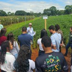 WhatsApp Image 2026-02-19 at 16.43.32