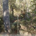 arcelor_20091027_1159385047