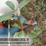 arcelor_20091027_1210223123
