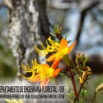 arcelor_20091027_1242725118