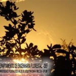 arcelor_20091027_1271340303