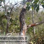 arcelor_20091027_1469222866