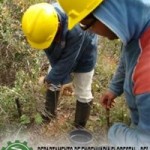 arcelor_20091027_1665795199