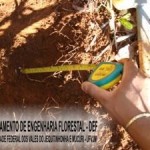 arcelor_20091027_1779792592
