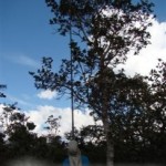 arcelor_20091029_1950485925