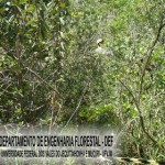 biribiri_20090826_1041370041