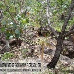 biribiri_20090826_1519431695