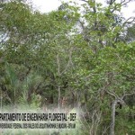 biribiri_20090826_1574573904