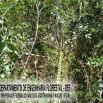 biribiri_20090826_1664112841