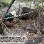 biribiri_20090826_1687512858