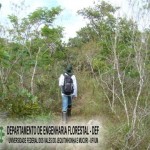 rio-preto_4_20090826_2064627189