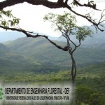 rio-preto_5_20090826_1910623622