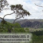 rio-preto_8_20090826_1069081932